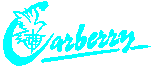 SRT Logo